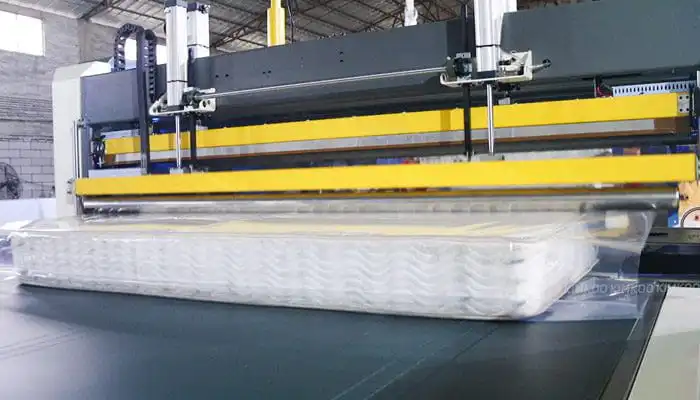 Auto Bagging System